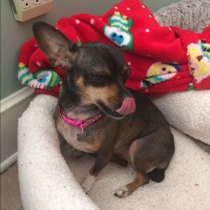 Meet your Posher, Cecilia